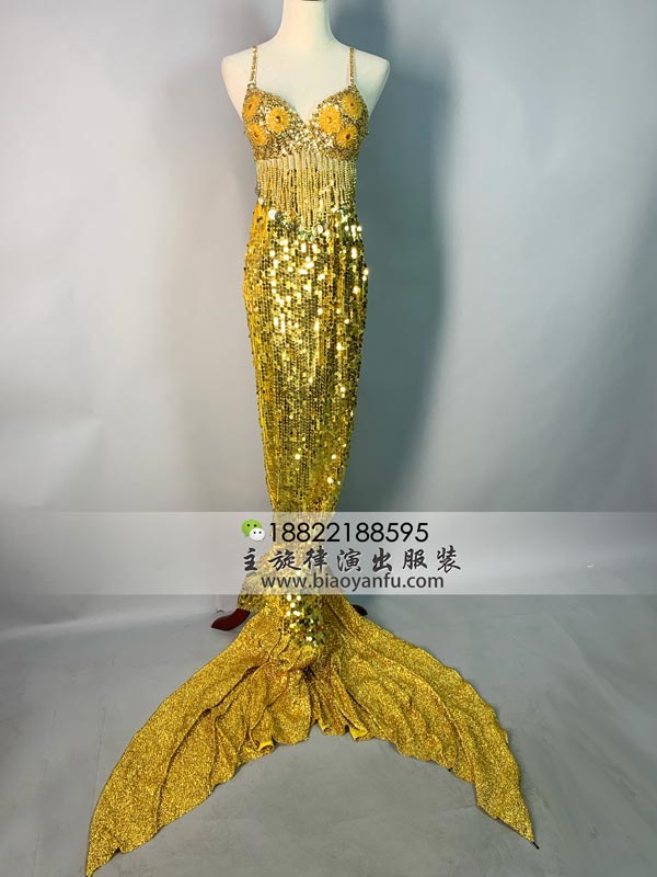  WS195���������Ƭ